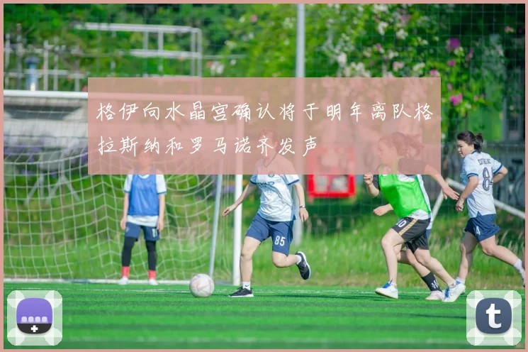 格伊向水晶宫确认将于明年离队格拉斯纳和罗马诺齐发声