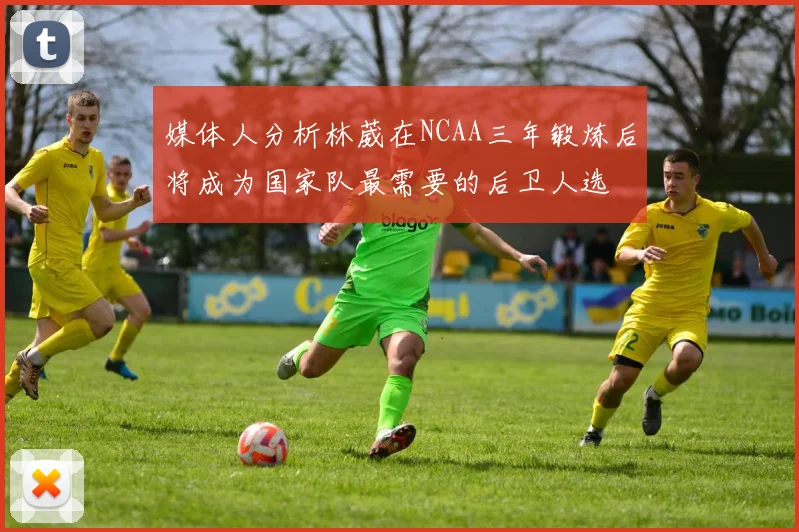 媒体人分析林葳在NCAA三年锻炼后将成为国家队最需要的后卫人选